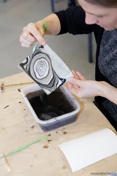 Copyright : Vincent Folliard